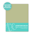 TE Premium Cardstock - Honeydew Melon