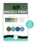 Graphic of Palette Playbook - Brussels Sprout which is a green color.