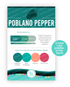 Graphic of Palette Playbook - Poblano Pepper which is a teal, green color.