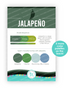Image of Palette Playbook - Jalapeno which is a dark green color.