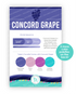 Image of Palette Playbook - Concord Grape which is a purple color.