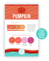 Image of Palette Playbook - Pumpkin which is an orange color.
