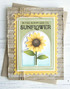 Handmade greeting card with sunflower on it and sunflower sentiment on it.