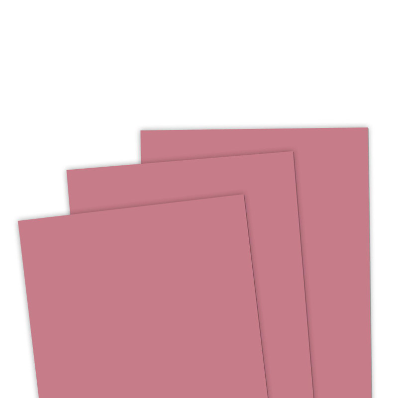 TE Premium Cardstock - Raspberry Sorbet
