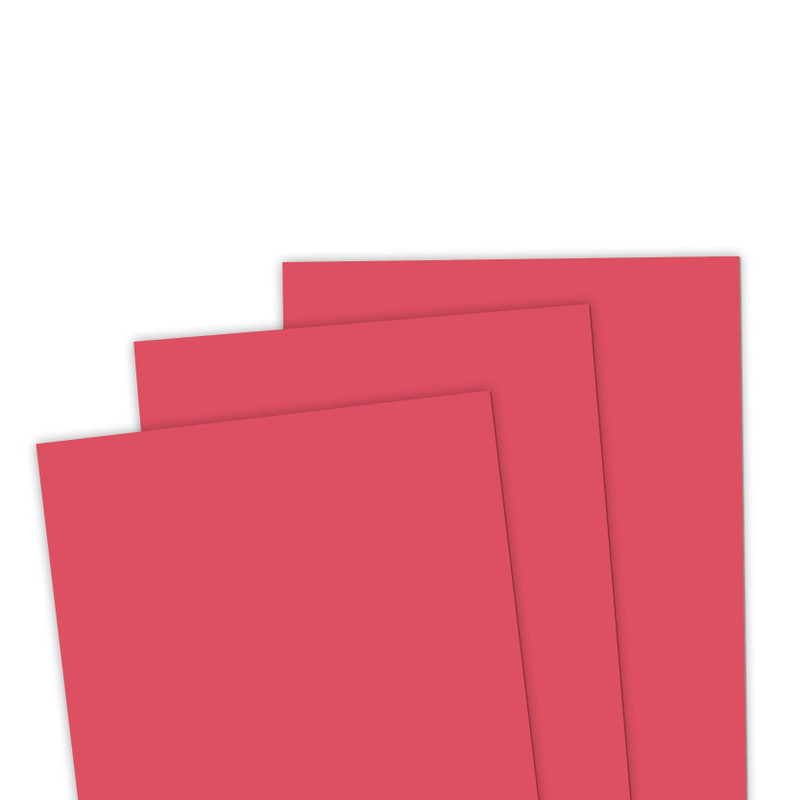 TE Premium Cardstock - Watermelon