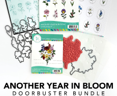 Black Friday Doorbusters