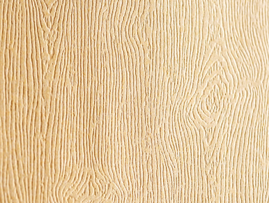 Woodgrain Cardstock - White - Taylored Expressions