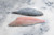 Gilt Head Bream Fillets