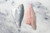 Gilt Head Bream Fillets