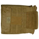 Hsp Thorax Pc Plate Bags Lrg Coy