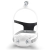 Philips Respironics DreamWear Full Face CPAP Mask with Headgear - FitPack - S, M, MW, L Cushions with Medium Frame (#1133400)