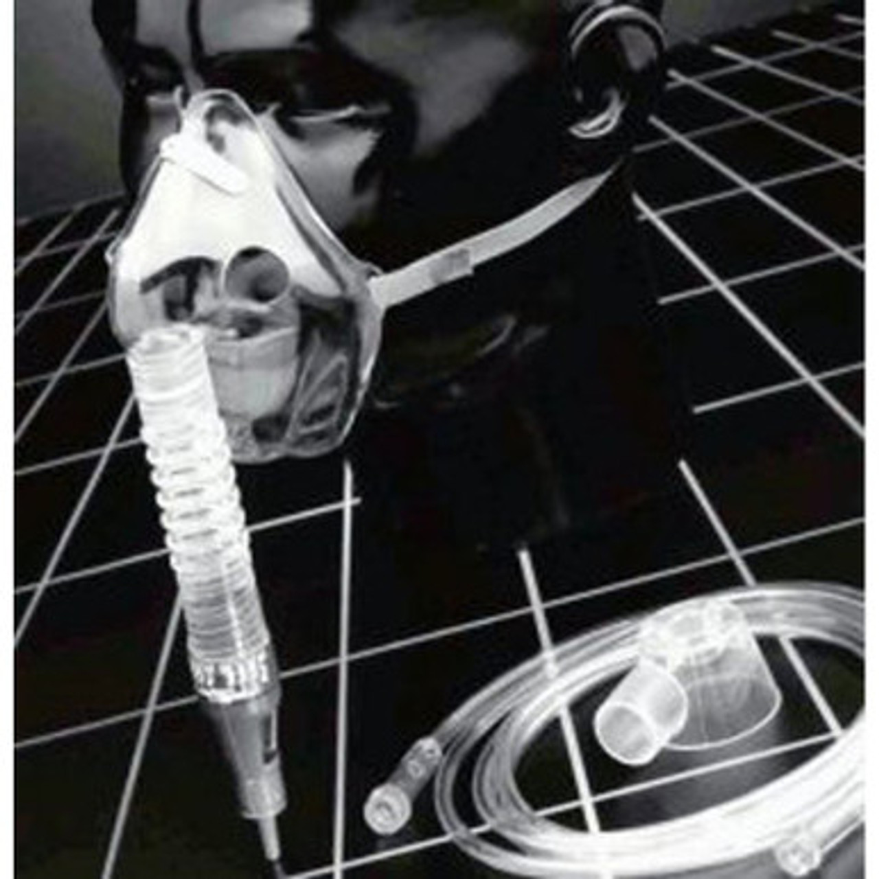 BABYL THE O2 LIVE VIEWING TEE サイズXL BABYL THE O2 LIVE VIEWING TEE サイズXL LOOKEE® BabyO2™ Baby