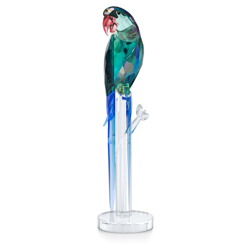 Jungle Beats Macaw Swarovski Crystal Society Collectible from A Touch of Class in Jackson Hole, Wyoming