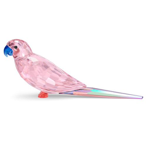 Pink Parakeet Swarovski Crystal Society Collectible from A Touch of Class in Jackson Hole, Wyoming