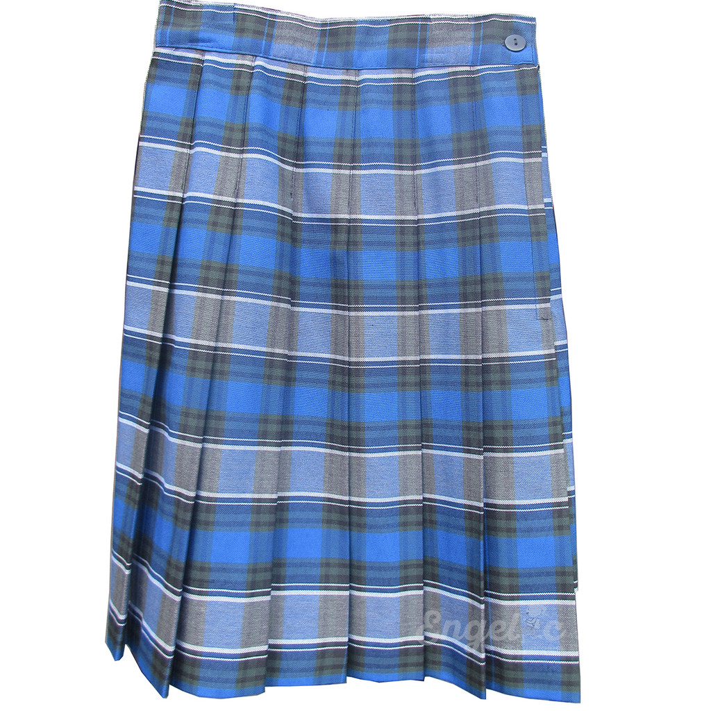 Girls School Uniform Pleated Skirt Plaid X