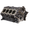 Ford Racing Coyote Cast Iron Race Block - M-6010-M50X Photo - Unmounted