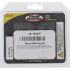 Pivot Works Pw Premium Wheel Bearing - 25-1025-P Photo - Primary