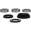 Pivot Works Pw Premium Wheel Bearing - 25-1037-P Photo - Primary