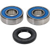 Pivot Works Pw Premium Wheel Bearing - 25-1038-P Photo - Primary