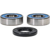 Pivot Works Pw Premium Wheel Bearing - 25-1038-P Photo - Primary