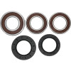 Pivot Works Pw Premium Wheel Bearing - 25-1039-P Photo - Primary