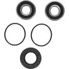 Pivot Works Pw Premium Wheel Bearing - 25-1129-P Photo - Primary