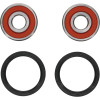 Pivot Works Pw Premium Wheel Bearing - 25-1147-P Photo - Primary