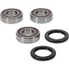Pivot Works Pw Premium Wheel Bearing - 25-1255-P Photo - Primary