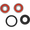 Pivot Works Pw Premium Wheel Bearing - 25-1312-P Photo - Primary