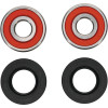 Pivot Works Pw Premium Wheel Bearing - 25-1317-P Photo - Primary