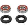 Pivot Works Pw Premium Wheel Bearing - 25-1317-P Photo - Primary
