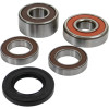 Pivot Works Pw Premium Wheel Bearing - 25-1383-P Photo - Primary