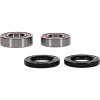 Pivot Works Pw Premium Wheel Bearing - 25-1395-P Photo - Primary