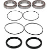 Pivot Works Pw Premium Wheel Bearing - 25-1479-P Photo - Primary