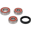 Pivot Works Pw Premium Wheel Bearing - 25-1589-P Photo - Primary