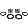 Pivot Works Front Wheel Bearing Kit - PWFWK-H20-003 Photo - Primary