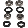 Pivot Works Kaw Atv Fw Brng Kt - PWFWK-K18-700 Photo - Primary