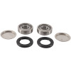 Pivot Works Hon Atv S/A Brng Kt - PWSAK-H42-000 Photo - Primary