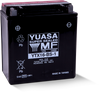 Yuasa YTX16-BS-1 Maintenance Free AGM 12 Volt Battery (Bottle Supplied) - YUAM32X61 User 1