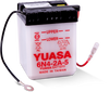 Yuasa 6N4-2A-5 Conventional 6 Volt Battery - YUAM2645A User 1