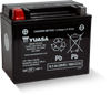 Yuasa YTX12 Maintenance Free AGM 12 Volt Battery - YUAM7RH2STWN User 1