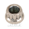 ARP M6 x 1.00 SS 12pt Nut Kit - 400-8370 Photo - Primary
