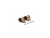 Daystar Sway Bar Bushings - 19mm (0.74in) - KU05020BK User 1
