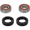 Pivot Works KTM, Yamaha Wheel Bearing Kit Premium Bearings - 25-1009-P Photo - Primary