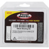 Pivot Works Kawasaki Wheel Bearing Kit Premium Bearings - 25-1023-P Photo - Primary