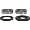 Pivot Works Honda Wheel Bearing Kit Premium Bearings - 25-1028-P Photo - Primary