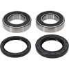 Pivot Works Honda Wheel Bearing Kit Premium Bearings - 25-1028-P Photo - Primary