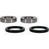 Pivot Works Honda Wheel Bearing Kit Premium Bearings - 25-1032-P Photo - Primary