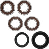 Pivot Works Honda Wheel Bearing Kit Premium Bearings - 25-1036-P Photo - Primary