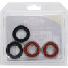 Pivot Works Honda, Hyosung, Suzuki Wheel Bearing Kit Premium Bearings - 25-1045-P Photo - Primary